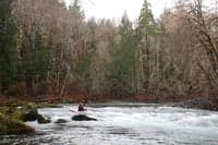 Rapid on the Hamma Hamma
