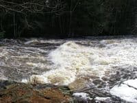 play wave just below dam