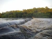 Low head dam