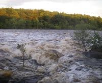 Low head dam