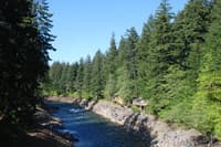 Restored White Salmon Emerging