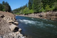 Restored White Salmon Emerging