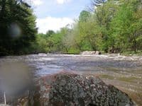 bottom of dells