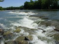 falls