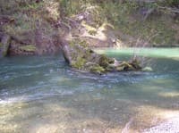 Navarro at 450 cfs
