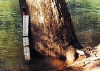 (RM) South Sauty Paddler's Gage