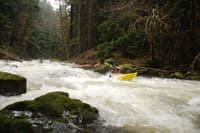 South Fork Sol Duc