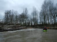 Navigating Wood Hazards