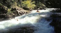 (RM) Unnamed Rapid