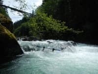 Foss River rapid