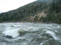Bridge Rapid