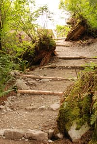 Cable Drop Access