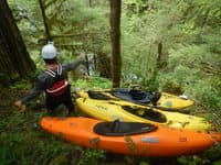 Quinault Gorge