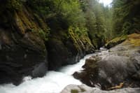 Quinault Gorge, Flume Rapid