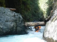 Quinault Gorge