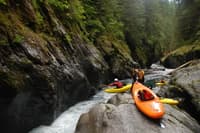 Quinault Gorge, seal launch