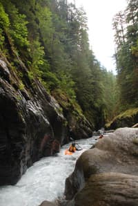 Quinault Gorge