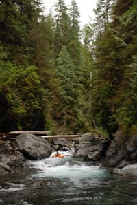Quinault Gorge
