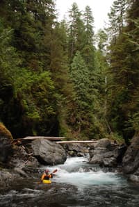 Quinault Gorge