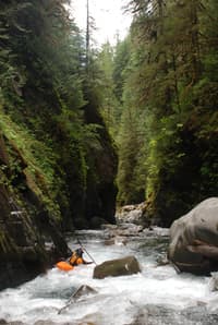 Quinault Gorge