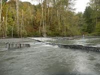 Fish Weir