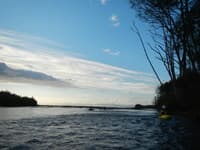Elwha Mouth
