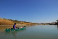 Adams Ranch