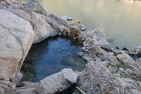 Springs below Asa Jones Pumphouse