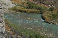 Son of Burro Rapids