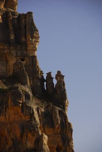 Sentinels