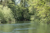 Big Pond exit