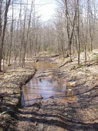 Road to Foster Falls