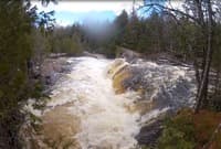 Falls ?