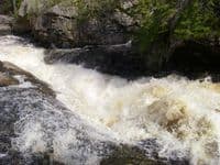 Foster Falls