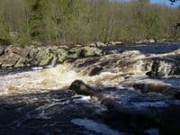 Main ledge - 800cfs in channel