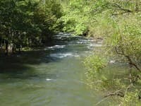 Downstrean view from Elkmont Bridge