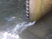 Guage at Elkmont Bridge