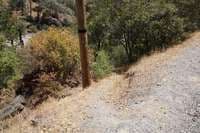 Access Trail
