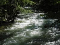 Upstream view Elkmont Bridge