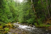 Big Quilcene
