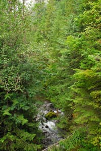 Big Quilcene