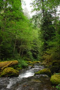 Big Quilcene