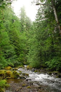 Big Quilcene