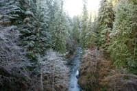 View from 2900-070 Bridge