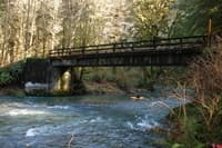 Drift Creek put-in