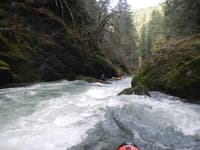 Rapids
