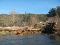 Big log in flatwater stretch