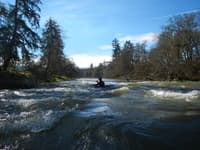 Rapids