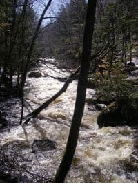 Top of first rapid