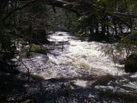 MIddle of first rapid